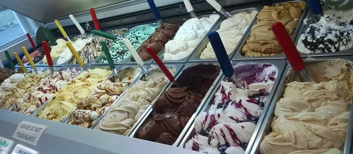 A display case of about twenty pans of gelato: mint chip, chocolate, vanilla, a blackberry swirl, caramel and more