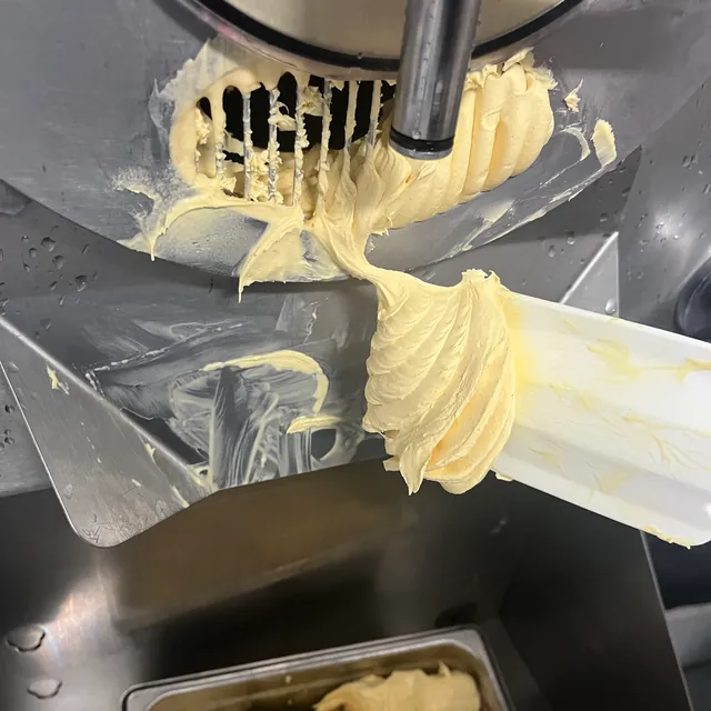 Pale yellow gelato folding out of the batch freezer onto the paddle